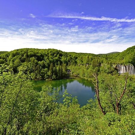 Milan In Rastovaca Villa Dış mekan fotoğraf