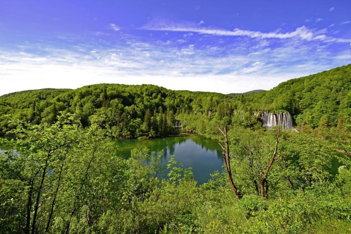 Milan In Rastovaca Villa Dış mekan fotoğraf
